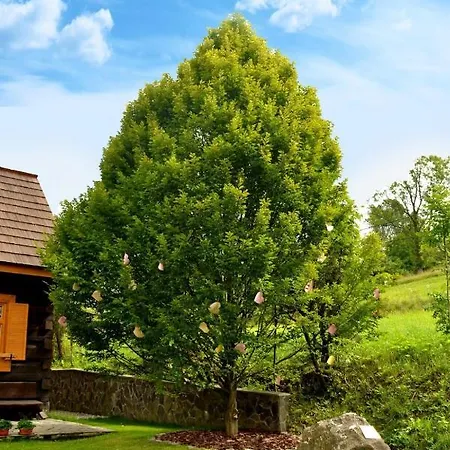 Drevenica Bukovina